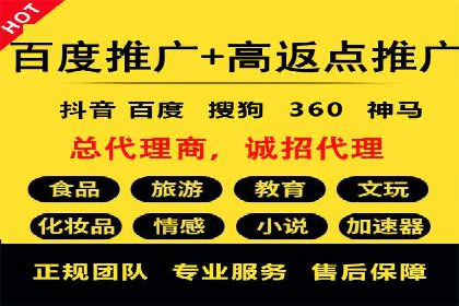 SEM托管公司案例研究：优化策略解析